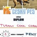 diplom