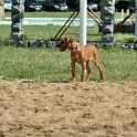 Rozhodčí na beach volleyballu