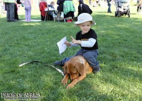 Ridgeback na Hemžení