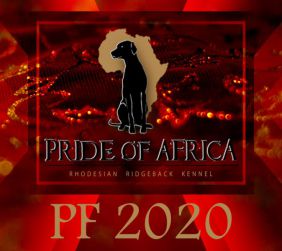 PF 2020