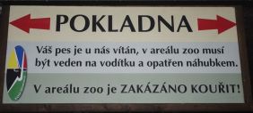 tady mají psy rádi